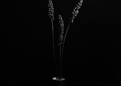 dark and moody photo of three flower spikes - photography by tasha chawner