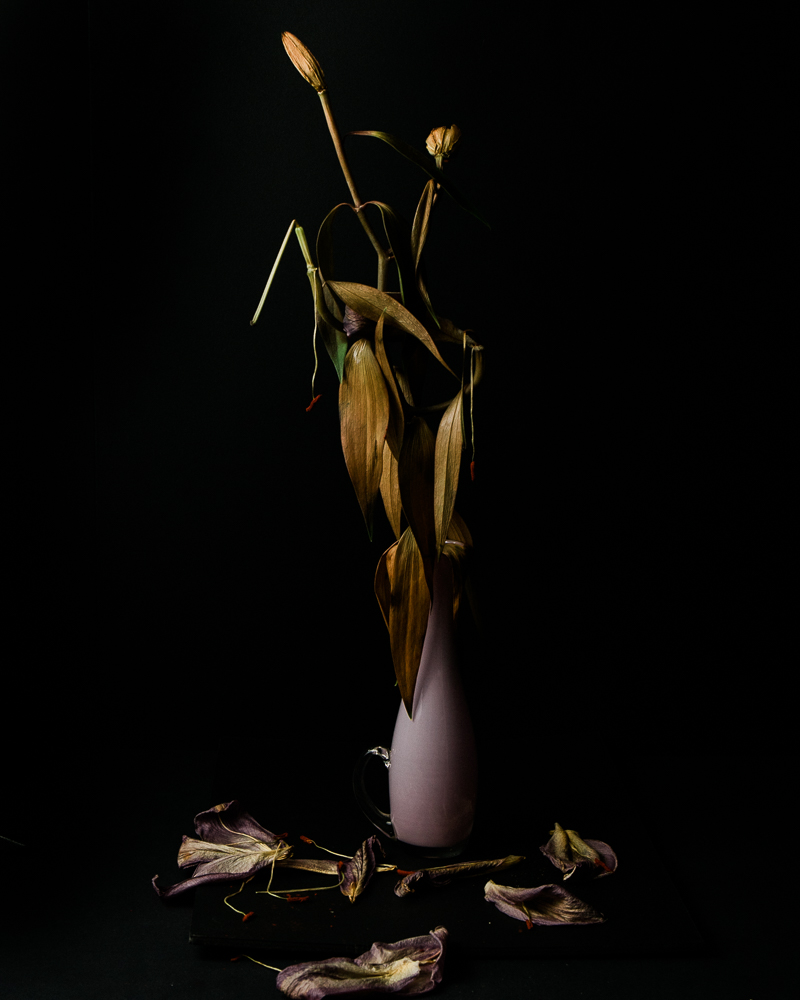 the final photo of a dead lily