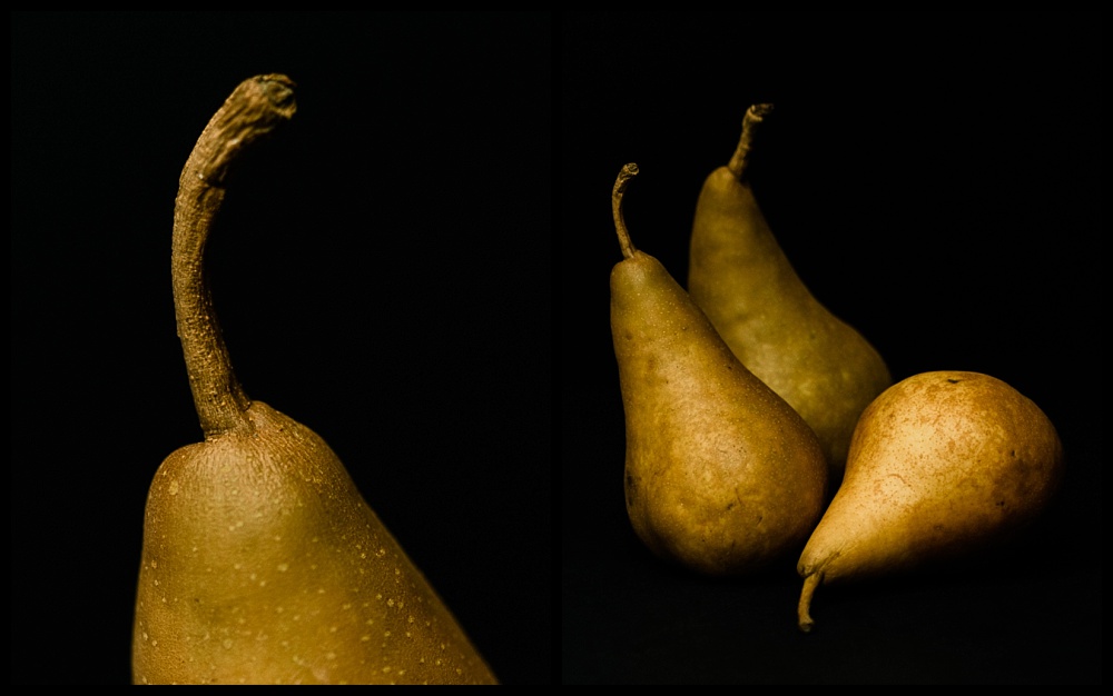 detail of pear stem and still life of three pears