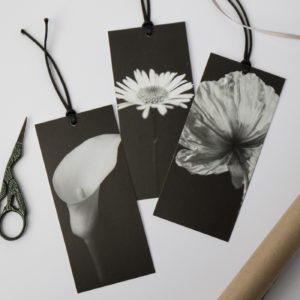 black and white photography fine art flower gift tags
