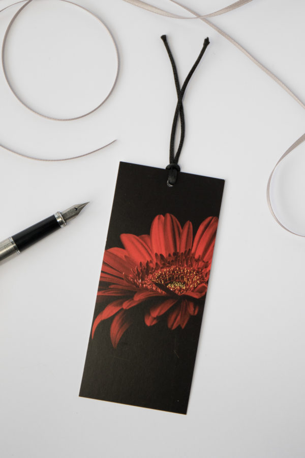 red gerbera fine art photography gift tag