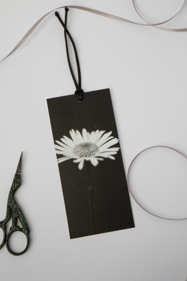 white common daisy gift tag