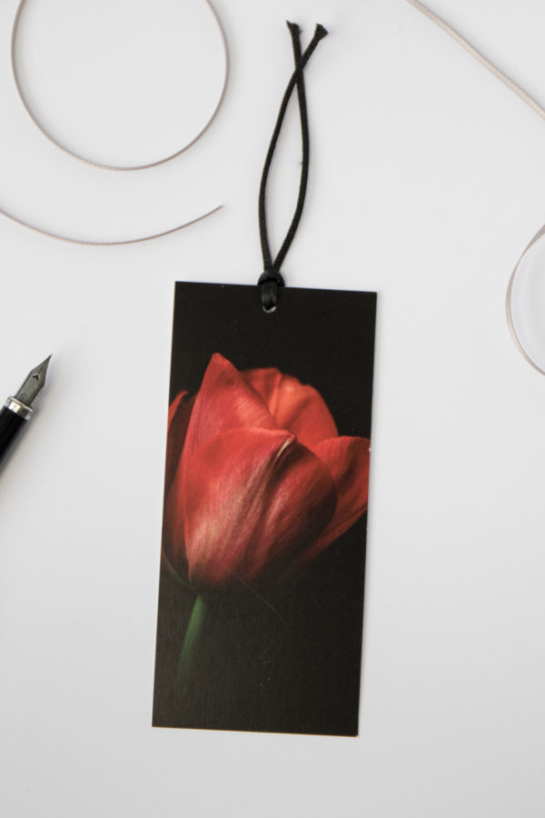 red tulip fine art photography gift tag