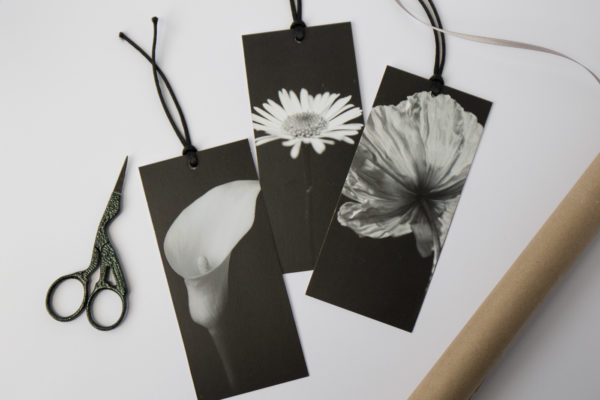 set of three fine art photography gift tags