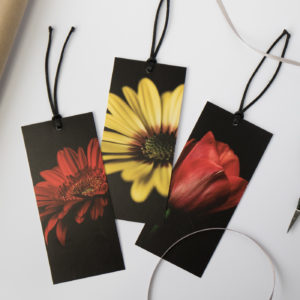 set of three flower fine art gift tags