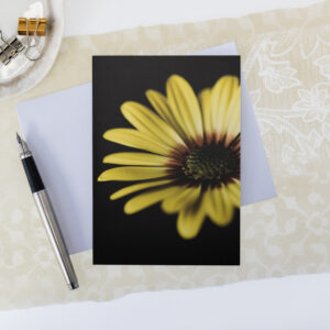 fine art photography card with yellow daisy flower