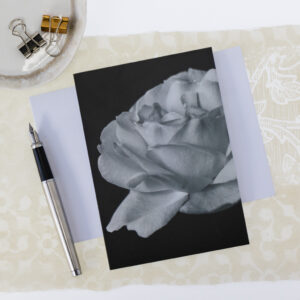 black and white rose blank greeting card