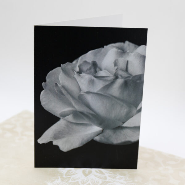 rose greeting card in black and white