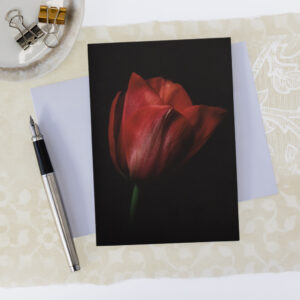 red tulip flower greeting card