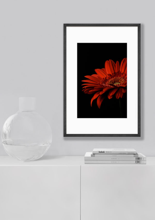 red daisy print on white wall