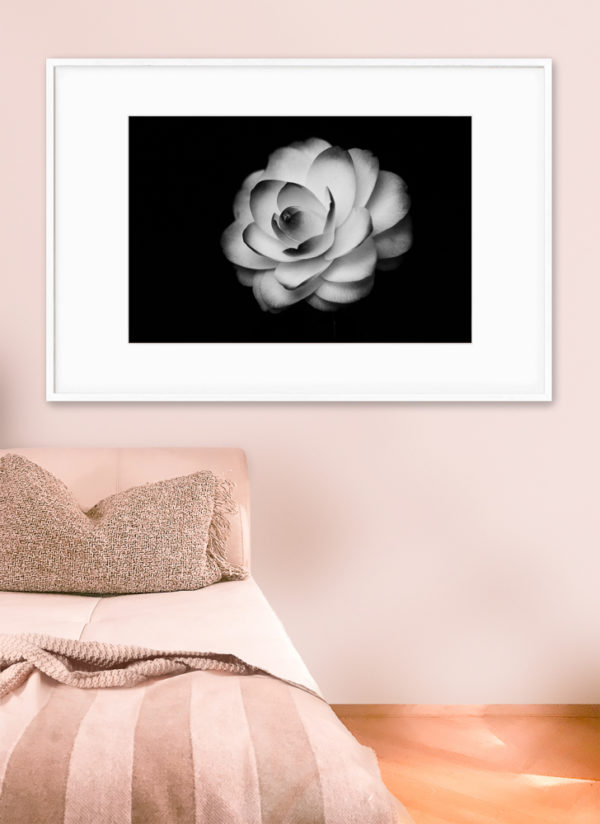 black and white camellia photo above bed