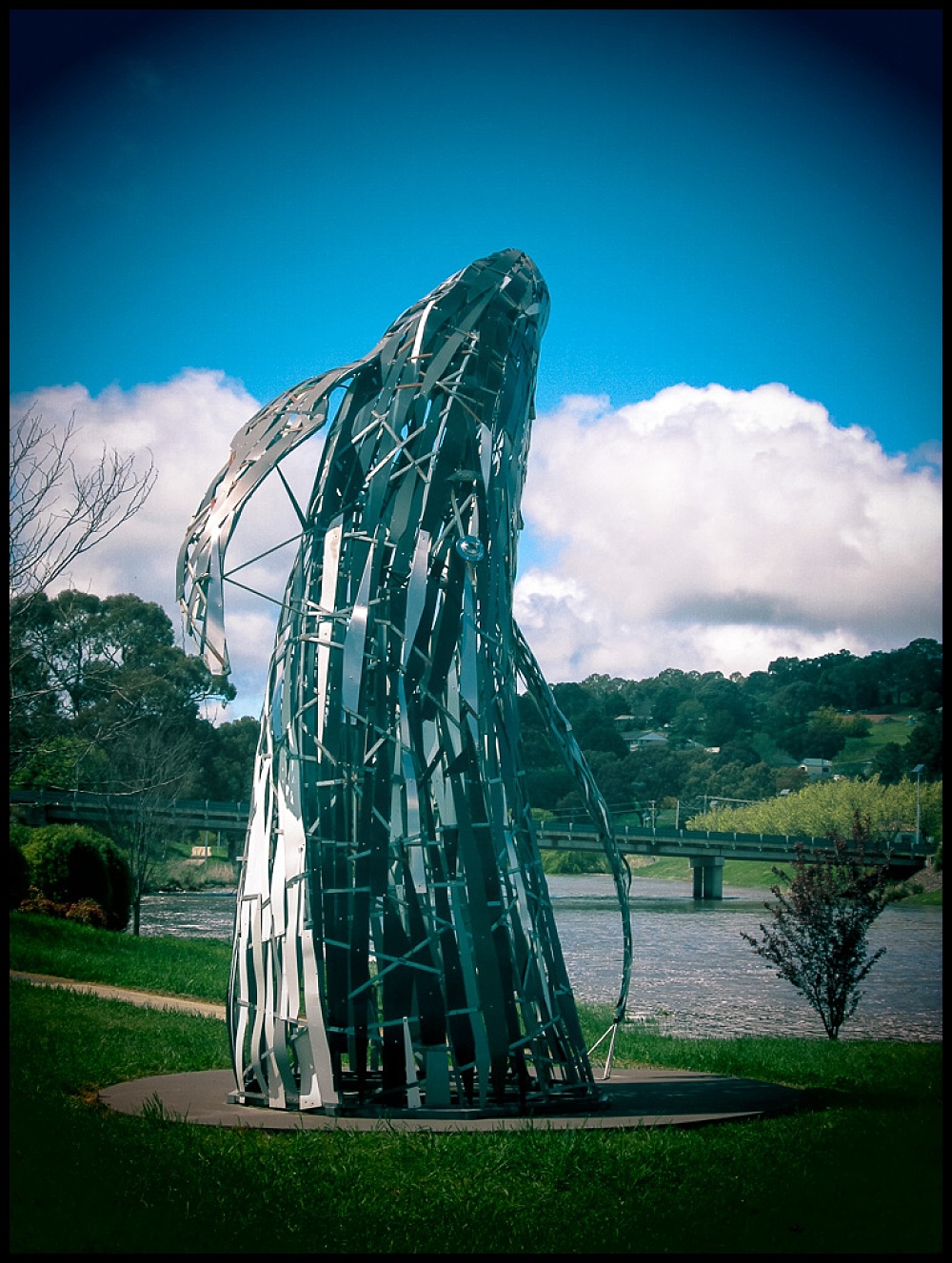 Walcha whale sculpture with toy camera setting