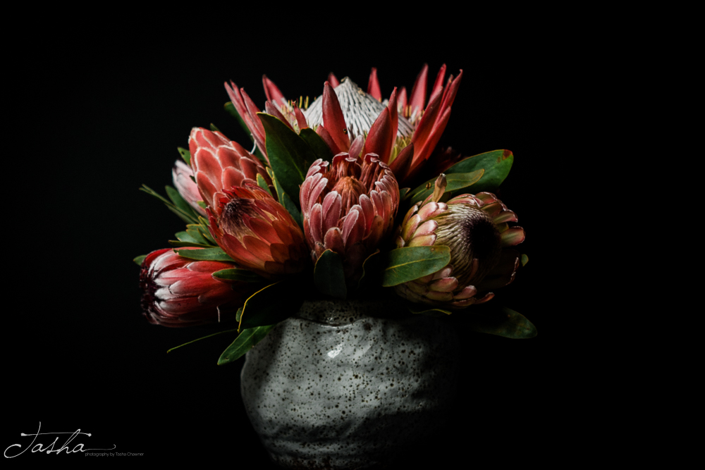 stunning bunch of protea flowers in white clay vase